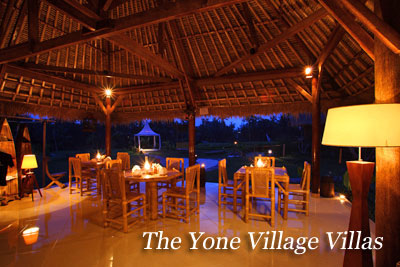 Yone Village in BALI UBUD