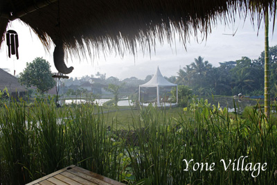 インドネシア バリ島ウブドで体感する究極のリラクゼーション＆エコロジー