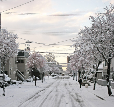 札幌の積雪