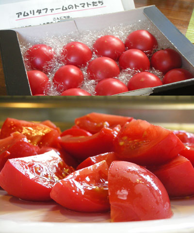 塩トマトとパプリカのグラタン