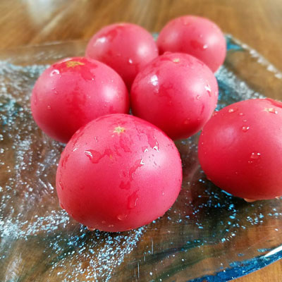 ニセコ アムリタファームの塩トマト